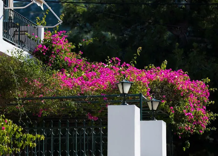 Casa Buganvilla 公寓 *