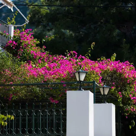 Casa Buganvilla アパート *