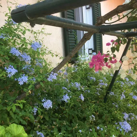 Lägenhet Casa Buganvilla Minia
