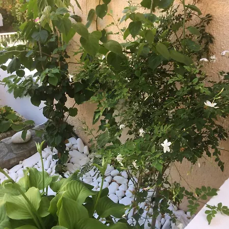 Casa Buganvilla アパート Minia