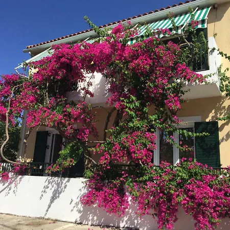 Lejlighed Casa Buganvilla Minia