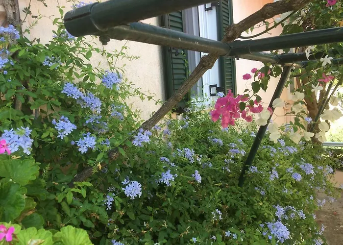 Apartment Casa Buganvilla Minia